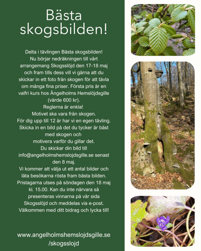 Bästa skogsbilden, en fototävling på Skogsslöjd den 17 - 18 maj.